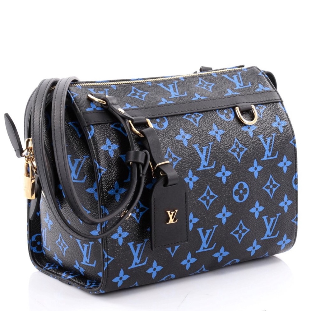 $OLD🤑 🆕 LV Speedy Amazon Bag